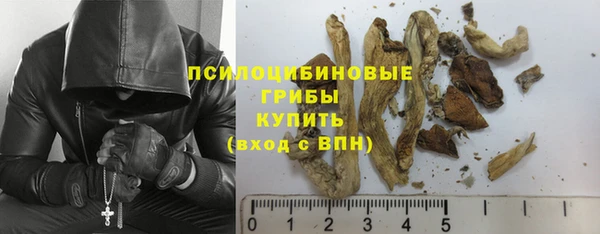 спиды Инта