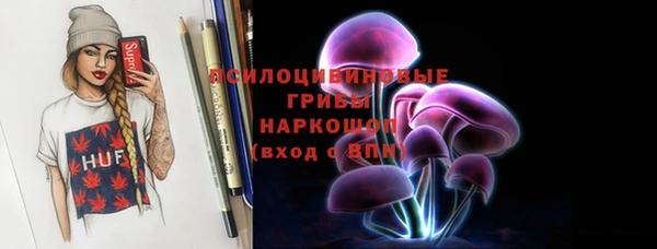 индика Наволоки