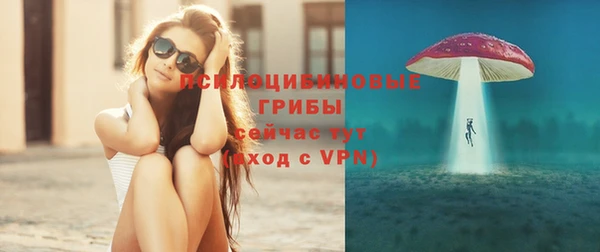 спиды Инта