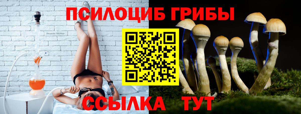 Псилоцибиновые грибы GOLDEN TEACHER  Тверь 