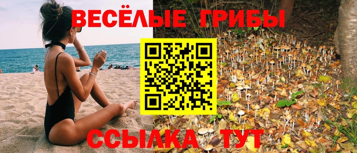 Псилоцибиновые грибы мицелий  Вход с VPN  Тверь  Галлюциногенные грибы Psilocybine cubensis 