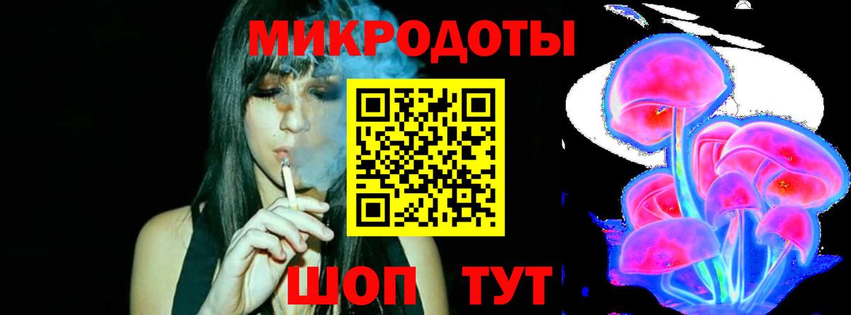 Галлюциногенные грибы Psilocybe Тверь