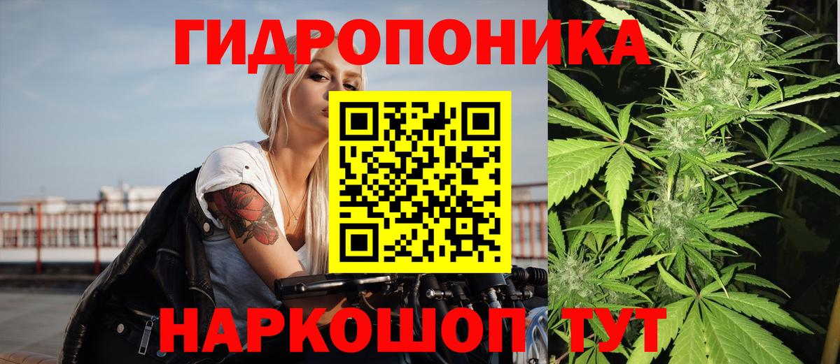 Бошки Шишки AK-47  Бошки марихуана White Widow  Тверь  Марихуана LSD WEED 